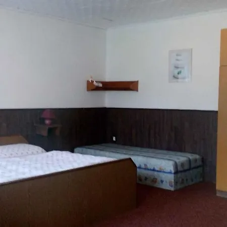 Σπίτι διακοπών Holiday In Ostruzno/bohmerwald 1125 *